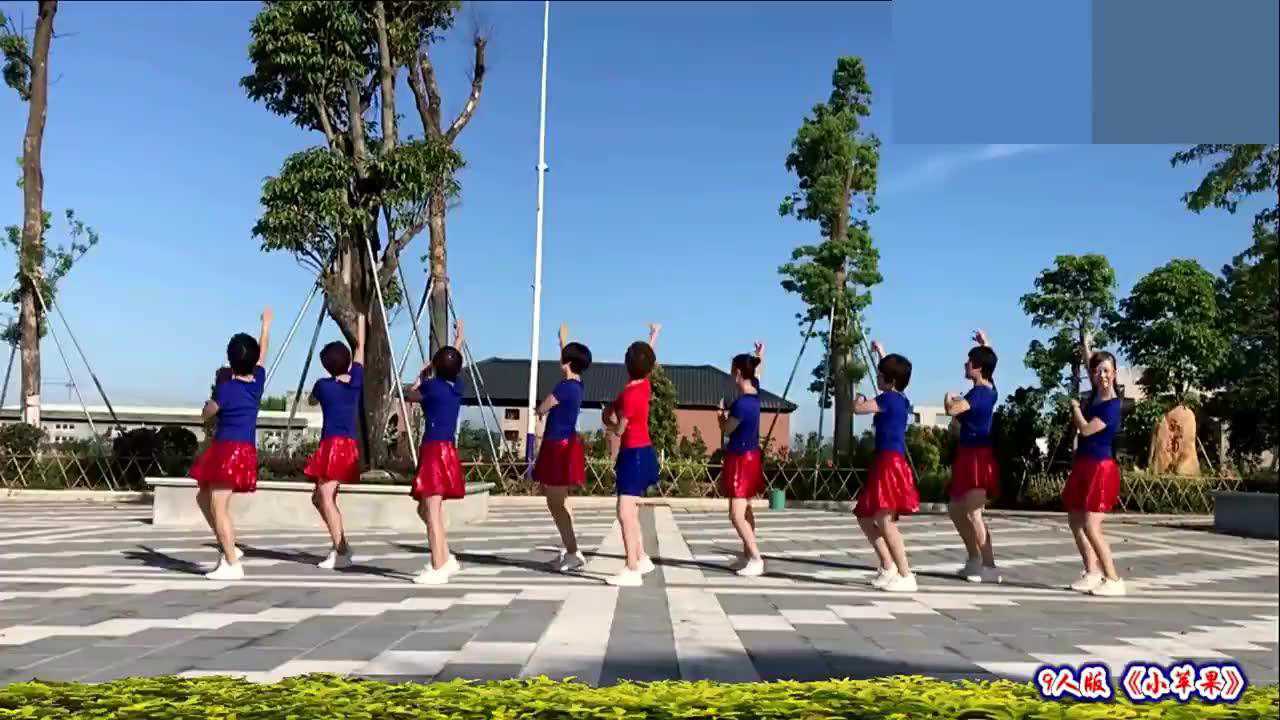 小苹果广场舞儿童版视频小苹果广场舞儿童版视频舞曲-第1张图片-太平洋在线下载